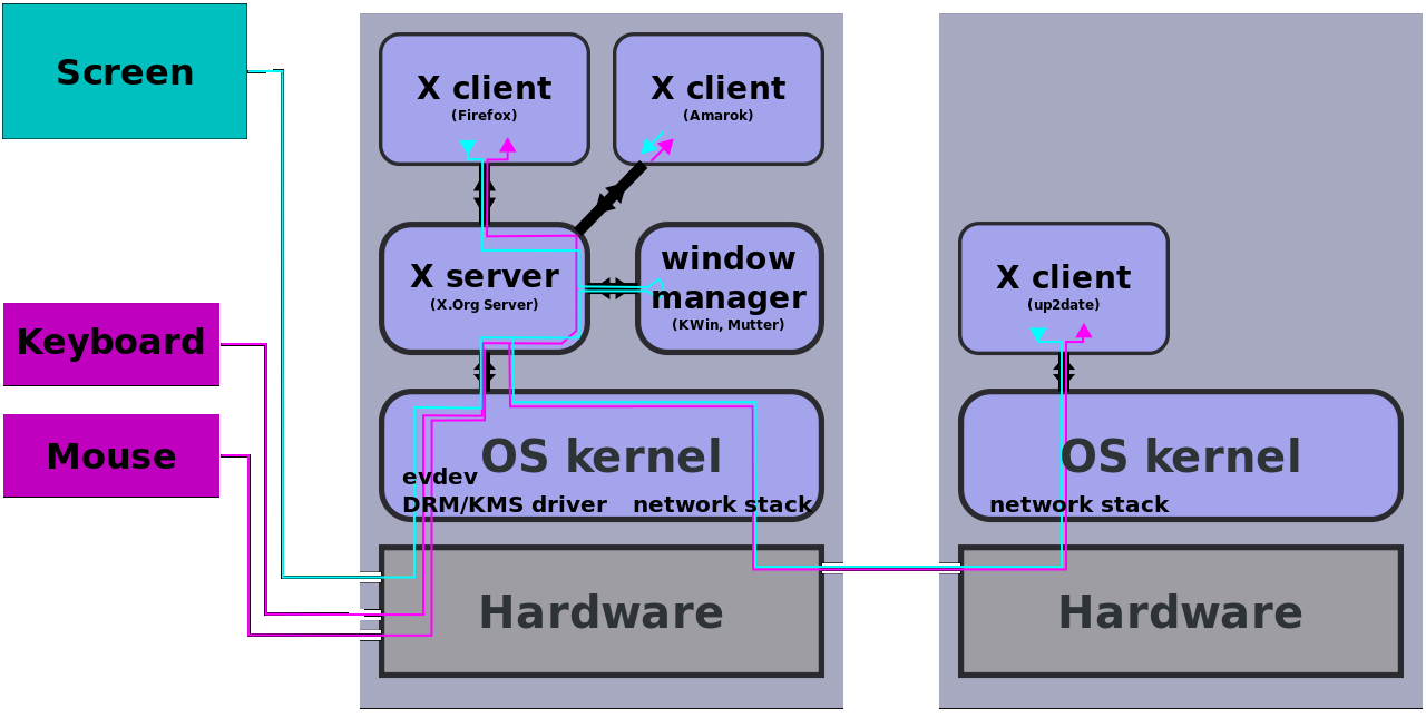 xorg